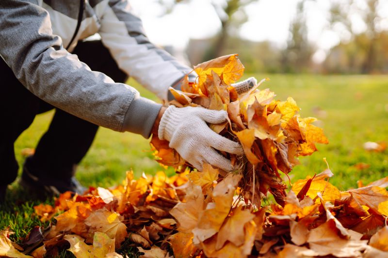 Autumn Leaf Pile
