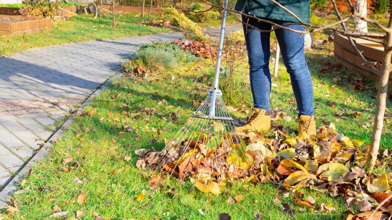 Leaf Raking Service