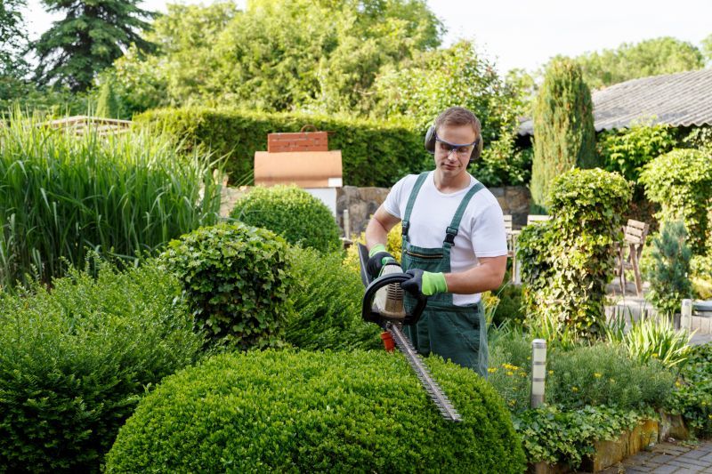 Lawn Maintenance Experts