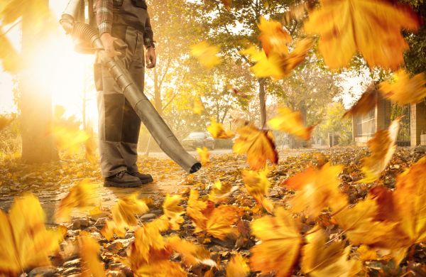 Leaf Blowing Service in Chapel Hill