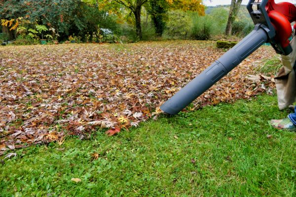 Leaf Vacuuming Service in Chapel Hill