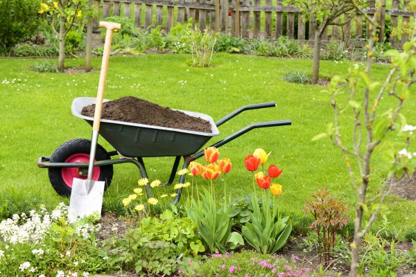 Spring Yard Cleanup in Chapel Hill