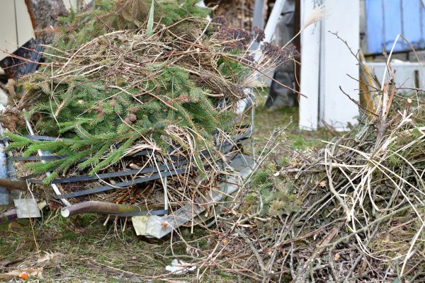 Cost of Yard Waste Removal Service in Chapel Hill