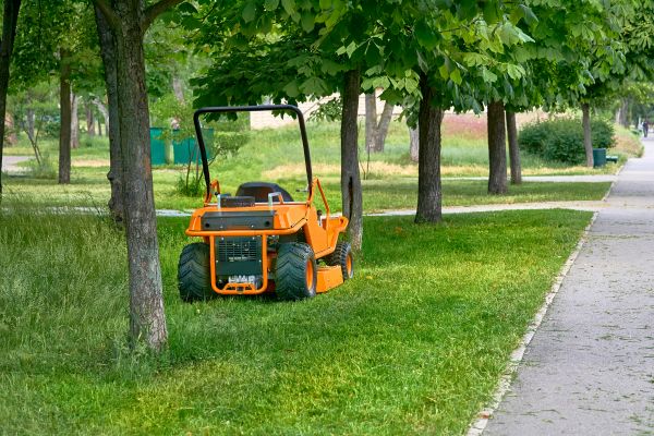 Landscaping Cleanup Service in Chapel Hill