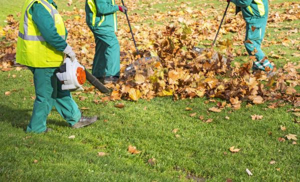 Leaf Maintenance in Chapel Hill