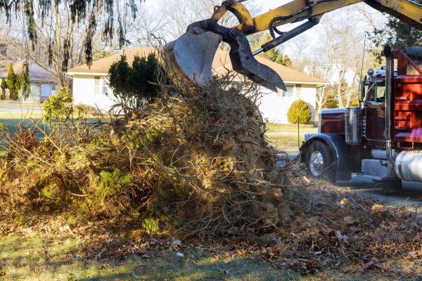 Storm Debris Removal in Chapel Hill