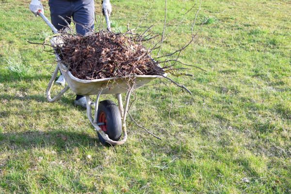 Cost of Yard Brush Removal in Chapel Hill