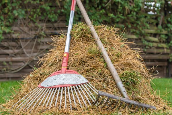 Pine Straw Clearing in Chapel Hill