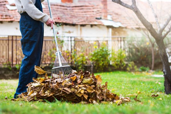 Spring Lawn Cleanup in Chapel Hill