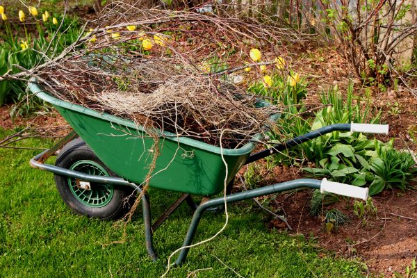 Lawn Waste Removal in Chapel Hill