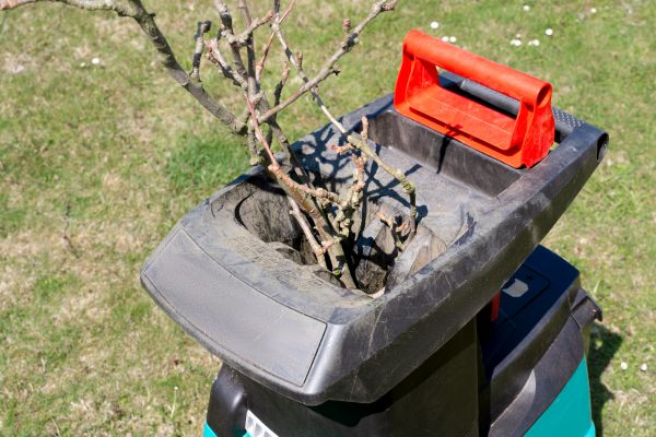 Cost of Brush Cleanup Service in Chapel Hill