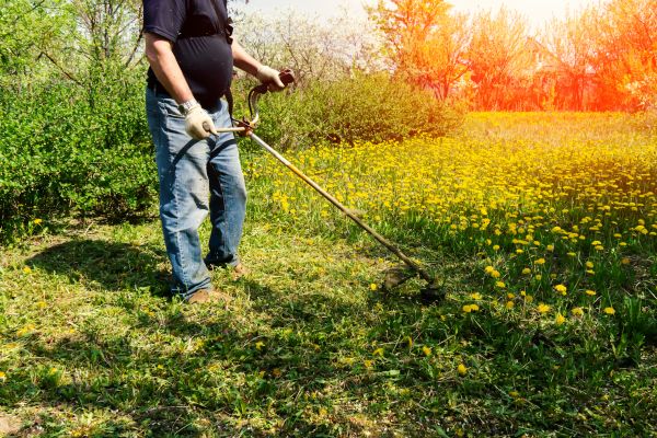 Yard Clearing Service in Chapel Hill