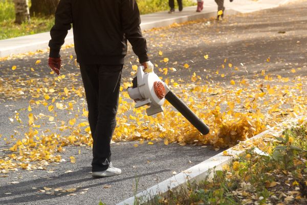 Commercial Leaf Removal in Chapel Hill